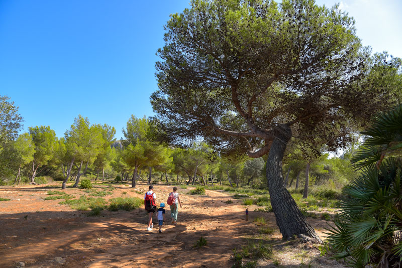 Wandern auf der Insel Mallorca