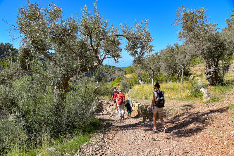 Wandern in der Serra de Tramuntana