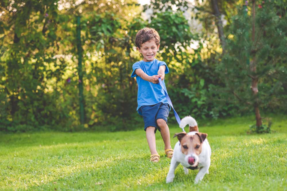 ab-wann-kind-hund-gassi