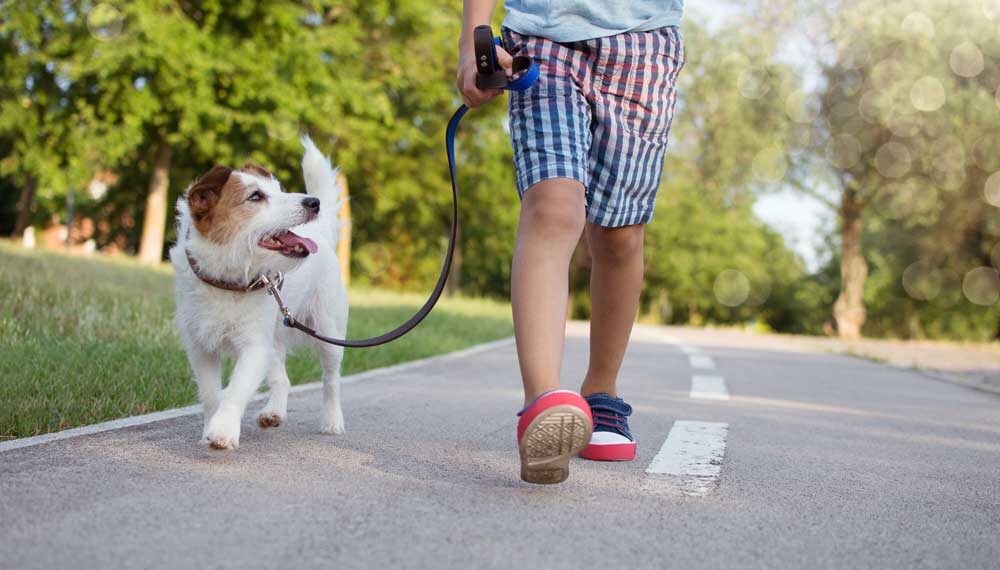 kind-geht-gassi-mit-hund