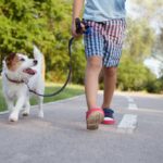 kind-geht-gassi-mit-hund