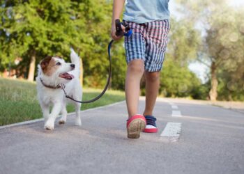 kind-geht-gassi-mit-hund