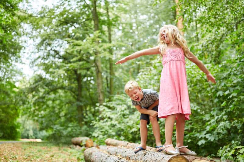 kinder-im-wald