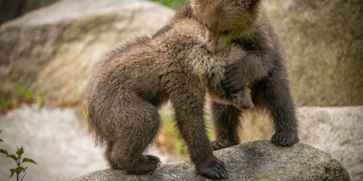 Sonnenschutz Baby: So schützt du dein Kind sicher vor UV-Strahlung